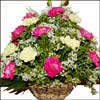 Humming Melodies - Click here to View more details about this Product